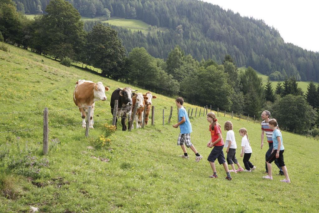 Ferienwohnung Hobelleitner Sankt Blasen Buitenkant foto